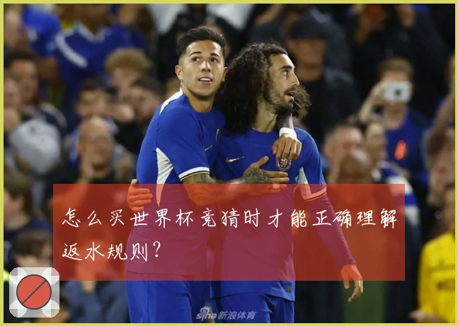 怎么买世界杯竞猜时才能正确理解返水规则？