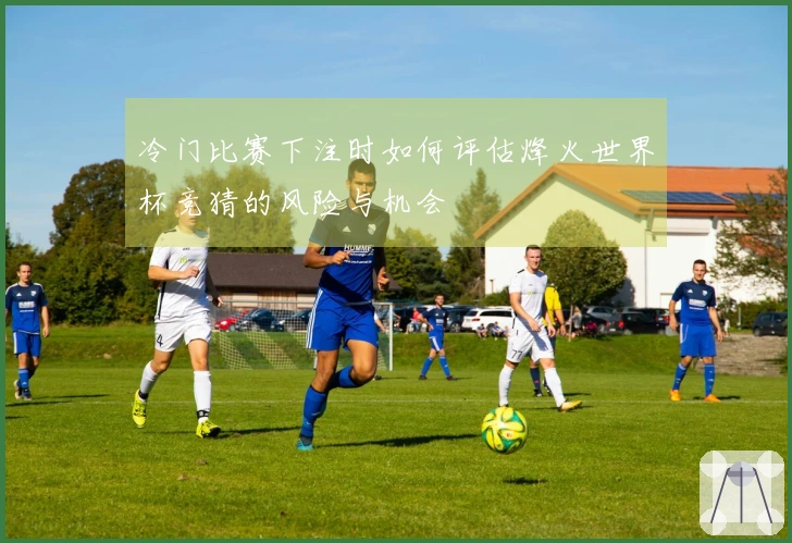 冷门比赛下注时如何评估烽火世界杯竞猜的风险与机会