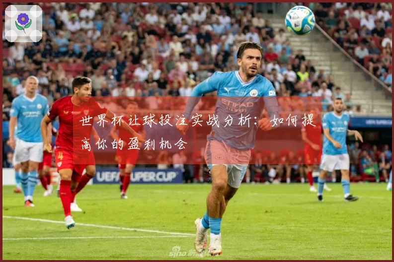 世界杯让球投注实战分析：如何提高你的盈利机会