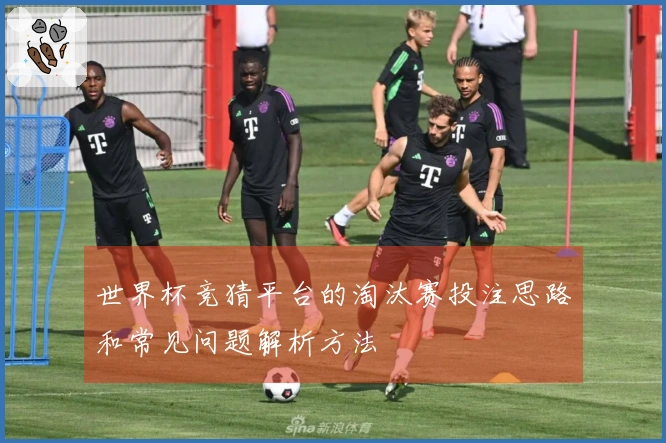 世界杯竞猜平台的淘汰赛投注思路和常见问题解析方法
