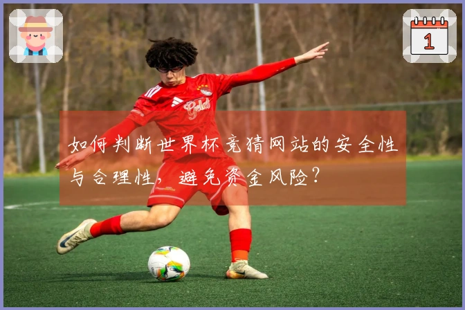 如何判断世界杯竞猜网站的安全性与合理性,避免资金风险?