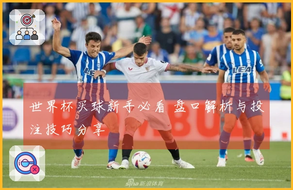 世界杯买球新手必看 盘口解析与投注技巧分享