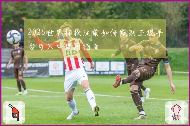 2026世界杯投注前如何甄别正规平台与入口使用指南