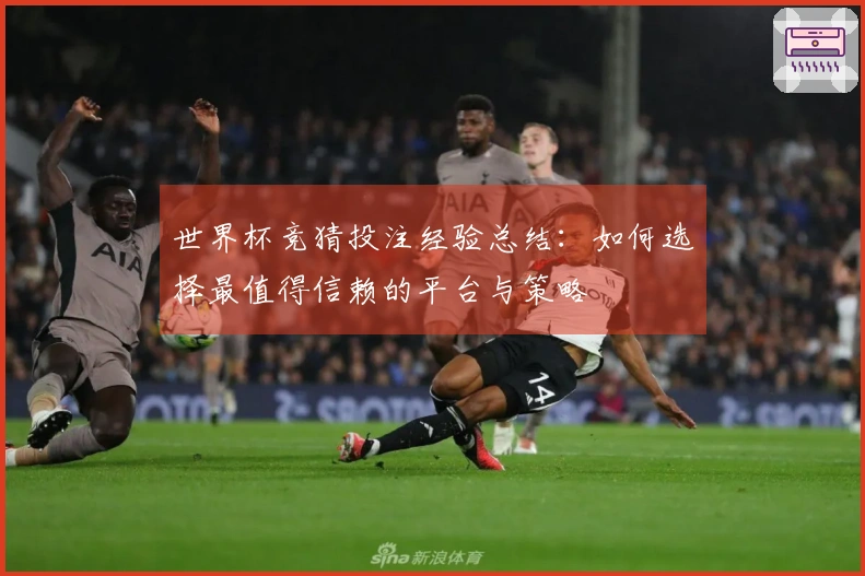 世界杯竞猜投注经验总结：如何选择最值得信赖的平台与策略