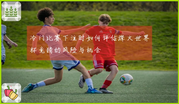 冷门比赛下注时如何评估烽火世界杯竞猜的风险与机会